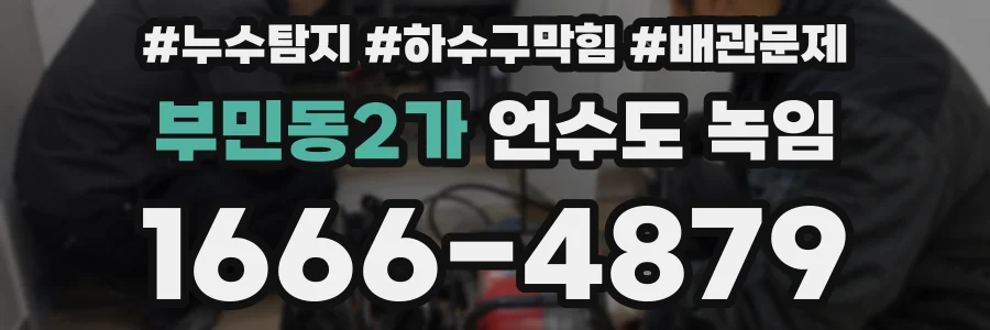 부민동2가 언수도 녹임