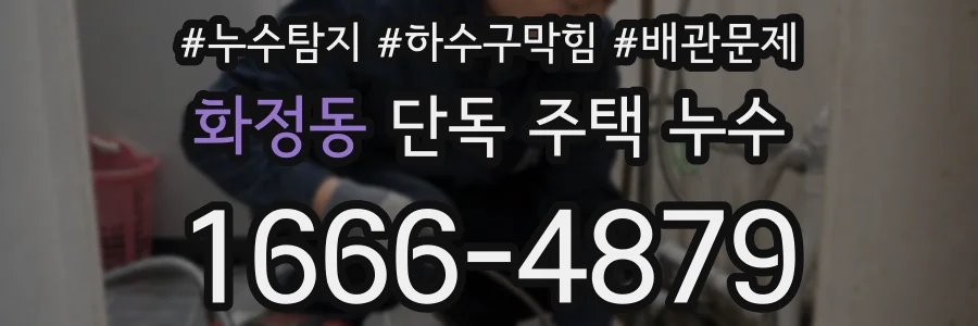 화정동 단독 주택 누수