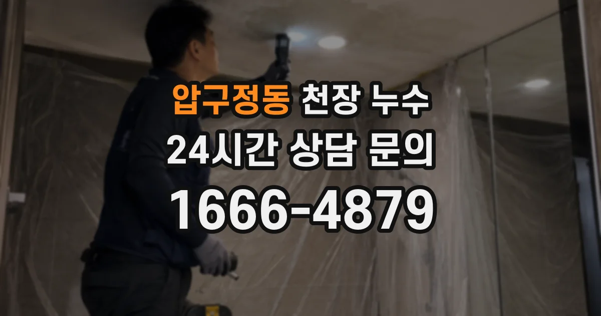 압구정동 천장 누수