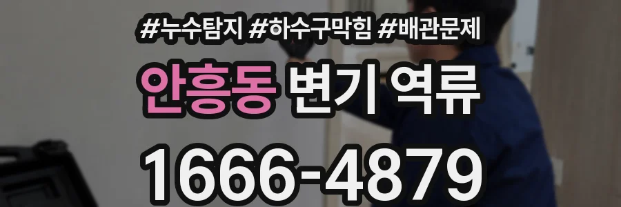 안흥동 변기 역류