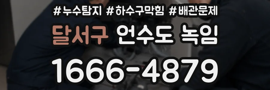 달서구 언수도 녹임