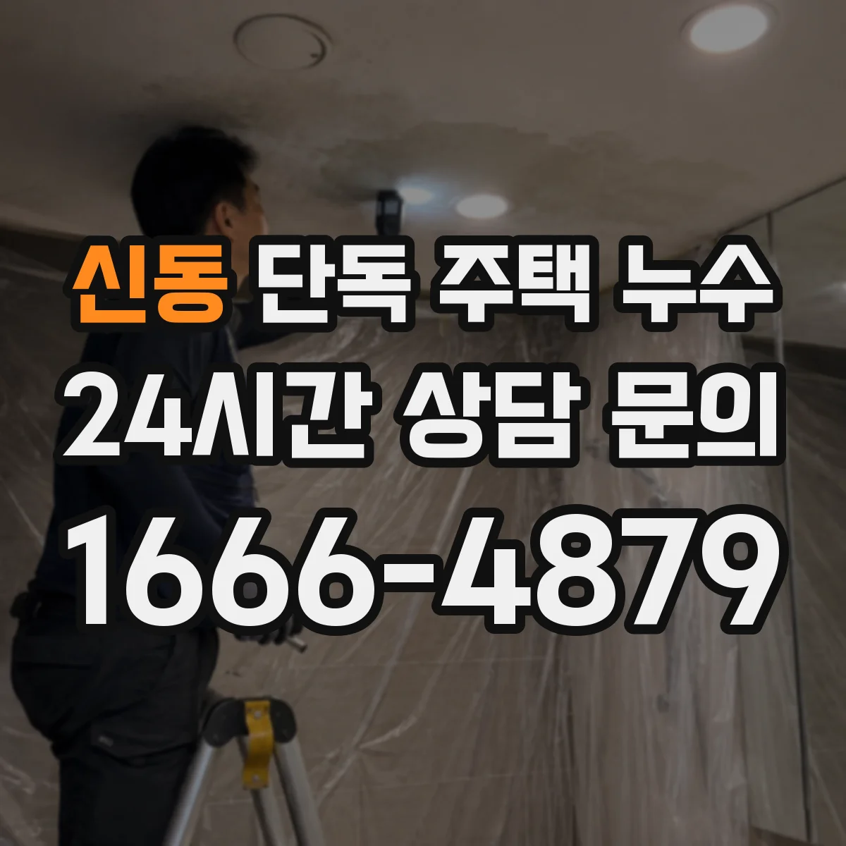 신동 단독 주택 누수
