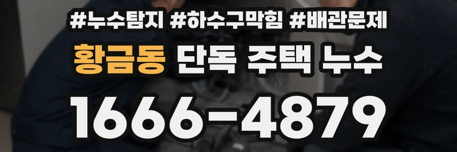 황금동 단독 주택 누수