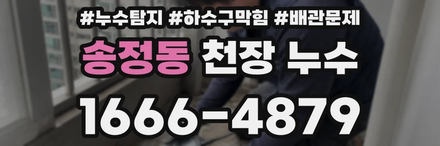 송정동 천장 누수