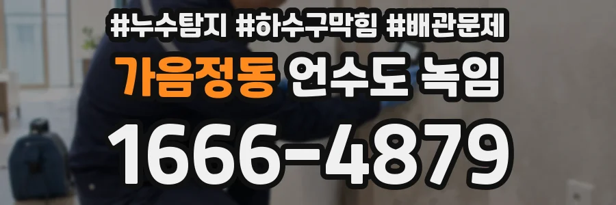 가음정동 언수도 녹임