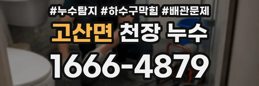 고산면 천장 누수
