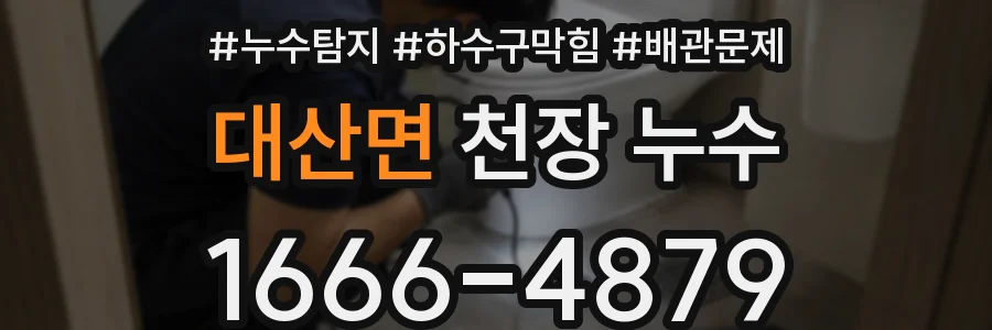 대산면 천장 누수