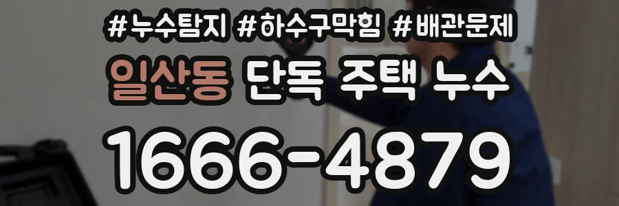 일산동 단독 주택 누수