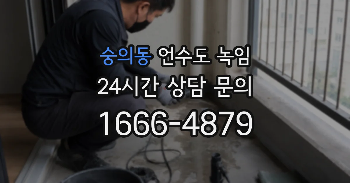 숭의동 언수도 녹임