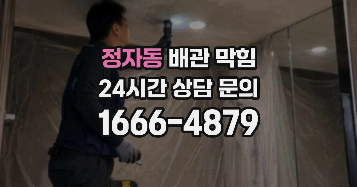 정자동 배관 막힘