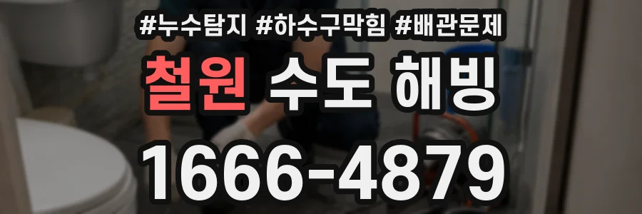 철원 수도 해빙