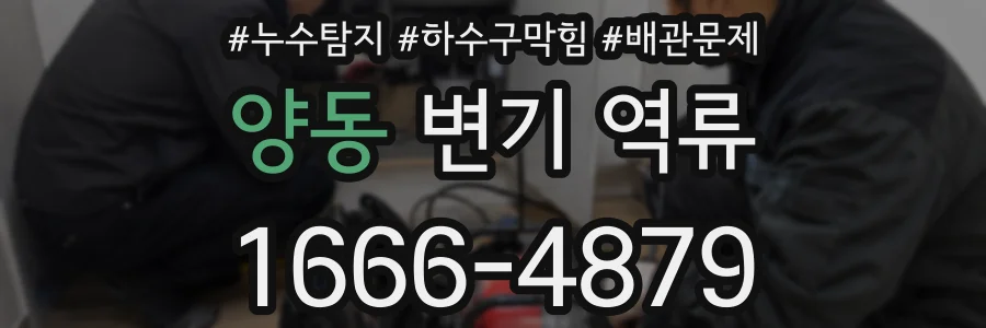 양동 변기 역류