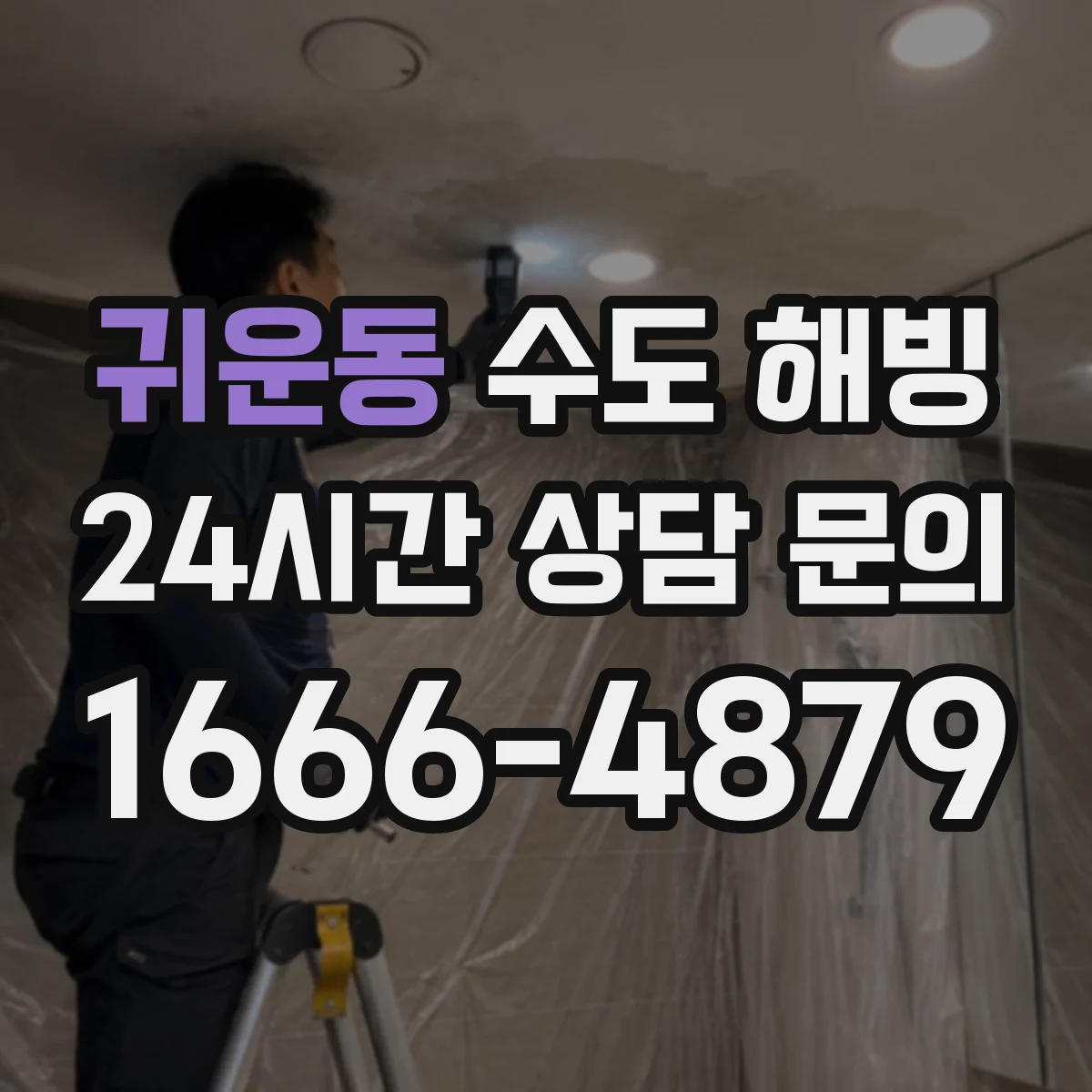 귀운동 수도 해빙