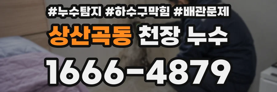 상산곡동 천장 누수