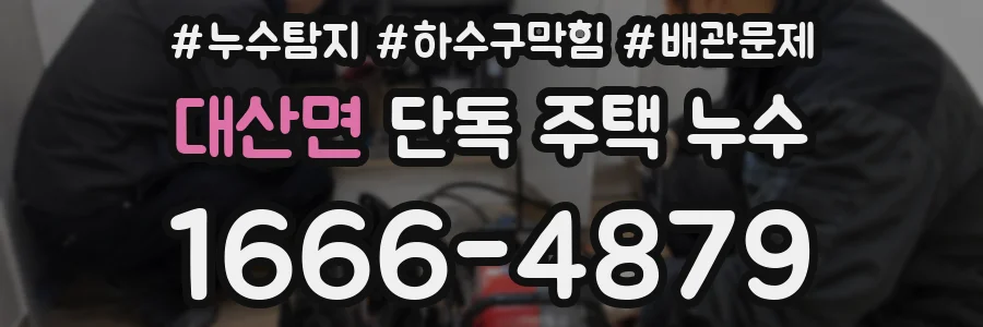 대산면 단독 주택 누수
