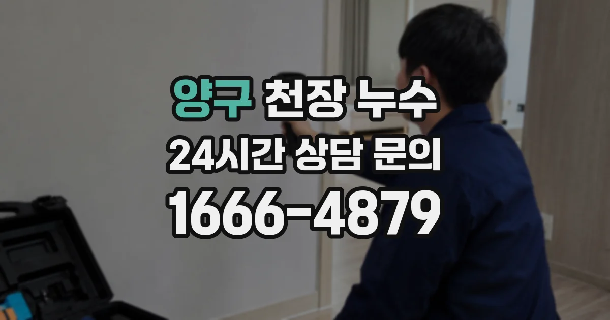양구 천장 누수