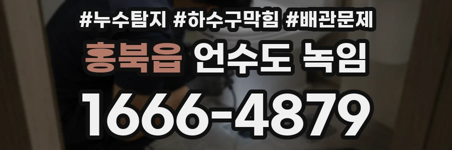 홍북읍 언수도 녹임