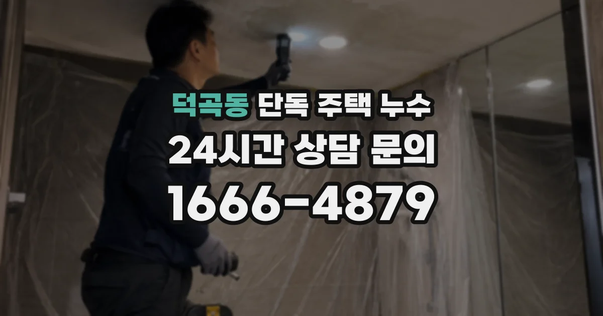 덕곡동 단독 주택 누수