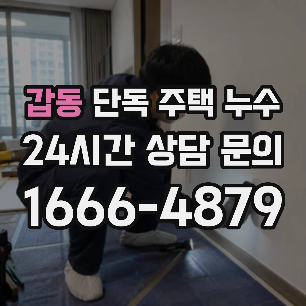 갑동 단독 주택 누수