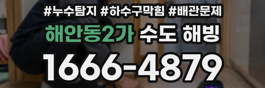 해안동2가 수도 해빙