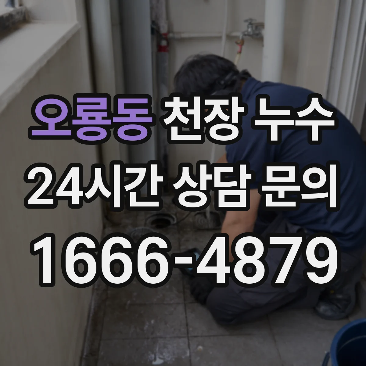 오룡동 천장 누수