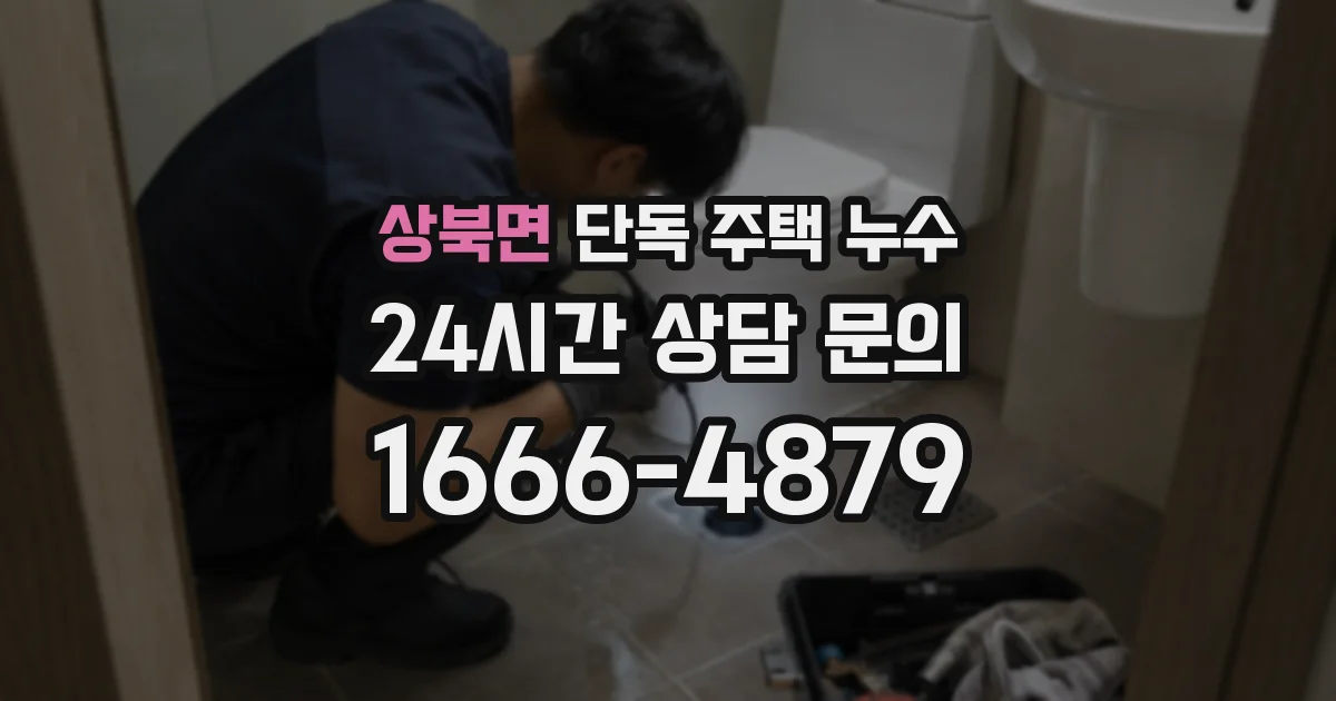 상북면 단독 주택 누수