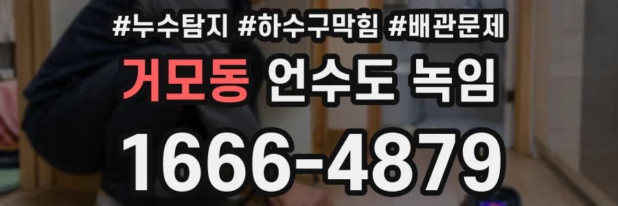 거모동 언수도 녹임
