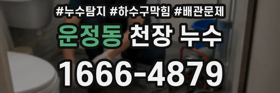 운정동 천장 누수