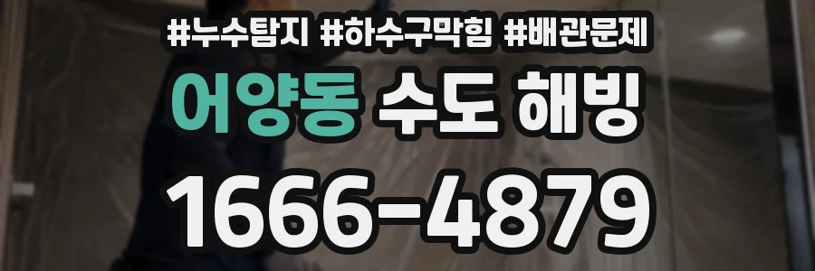어양동 수도 해빙