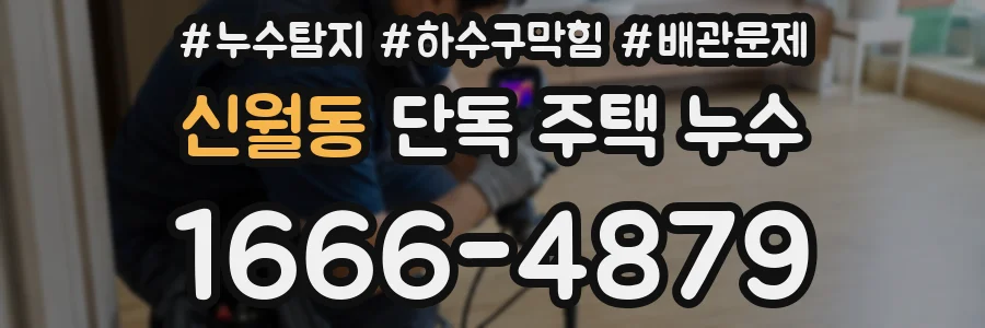 신월동 단독 주택 누수