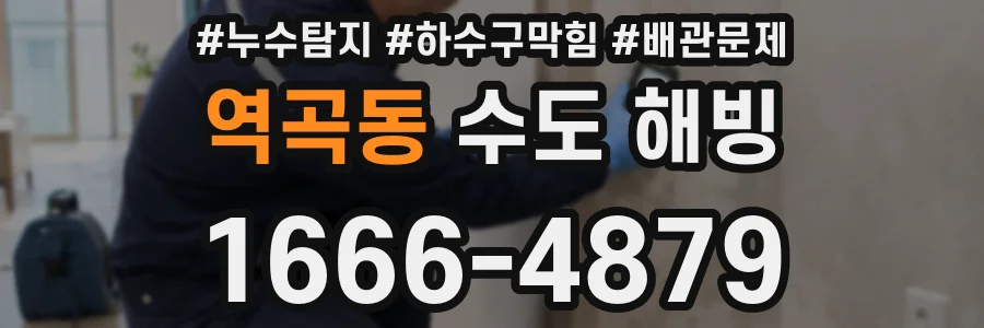 역곡동 수도 해빙