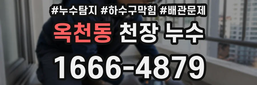 옥천동 천장 누수