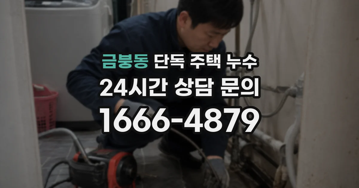 금붕동 단독 주택 누수