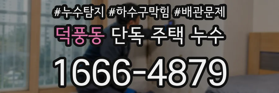 덕풍동 단독 주택 누수