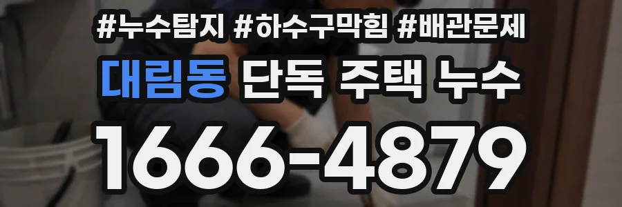 대림동 단독 주택 누수