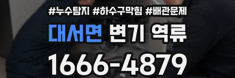 대서면 변기 역류