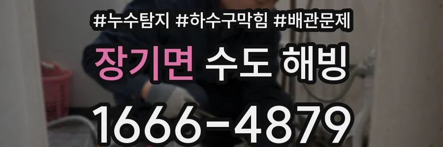 장기면 수도 해빙