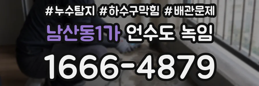 남산동1가 언수도 녹임