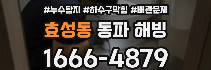 효성동 동파 해빙