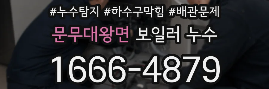 문무대왕면 보일러 누수