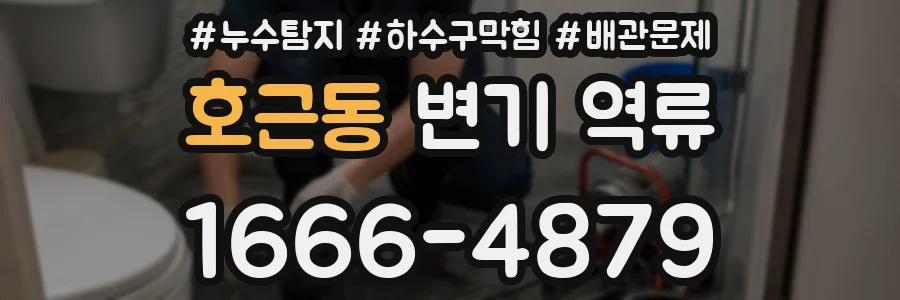 호근동 변기 역류
