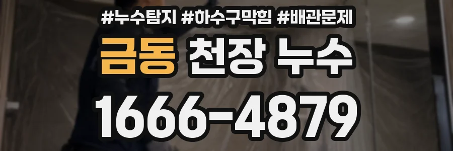 금동 천장 누수