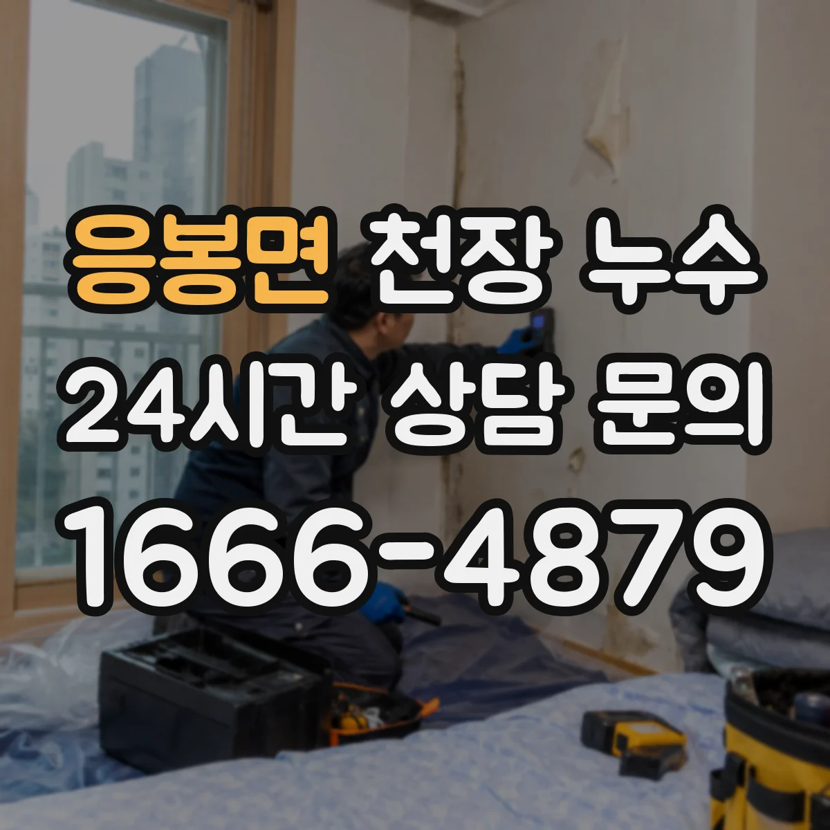 응봉면 천장 누수