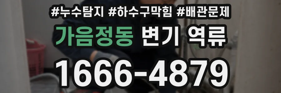 가음정동 변기 역류