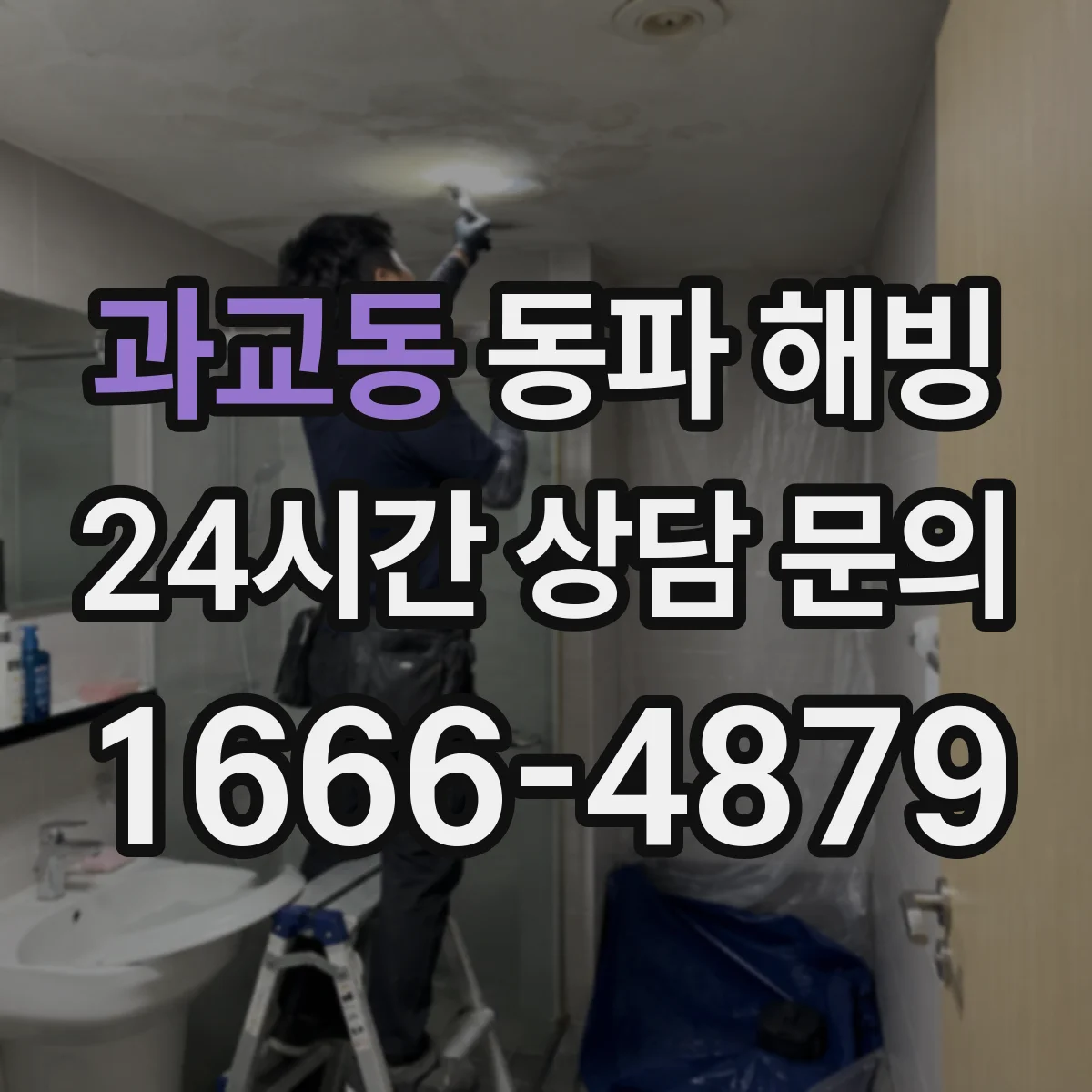 과교동 동파 해빙
