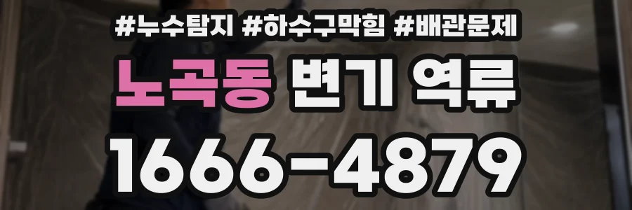 노곡동 변기 역류
