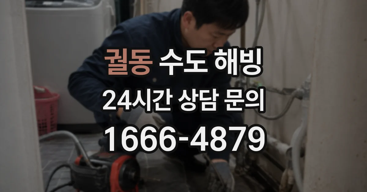 궐동 수도 해빙