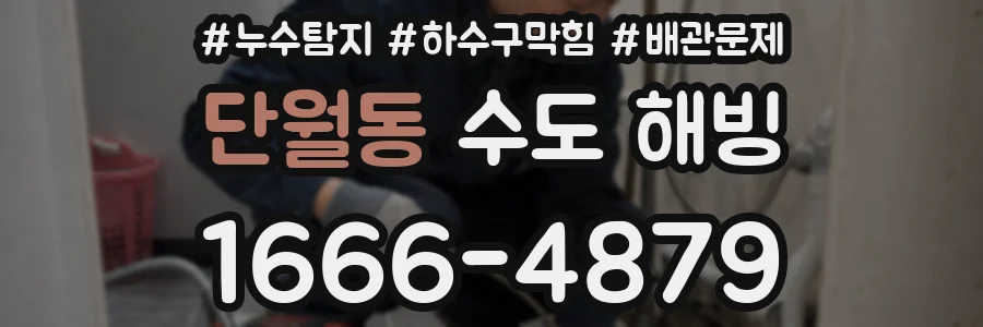 단월동 수도 해빙