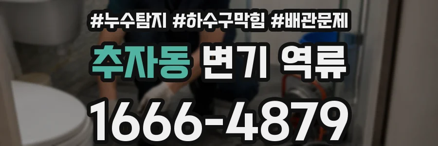추자동 변기 역류