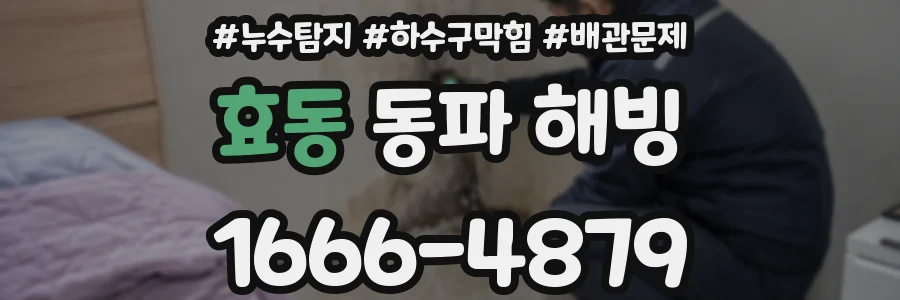 효동 동파 해빙